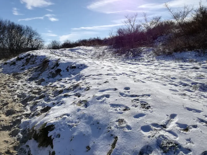 De Panne in de sneeuw (België)